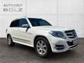 Mercedes-Benz GLK 200 CDI KLIMA SHZ PTS AHK PANO Sportpaket Weiß - thumbnail 17