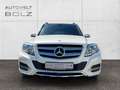 Mercedes-Benz GLK 200 CDI KLIMA SHZ PTS AHK PANO Sportpaket Weiß - thumbnail 12