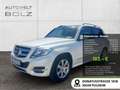 Mercedes-Benz GLK 200 CDI KLIMA SHZ PTS AHK PANO Sportpaket Weiß - thumbnail 1