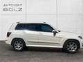 Mercedes-Benz GLK 200 CDI KLIMA SHZ PTS AHK PANO Sportpaket Weiß - thumbnail 22