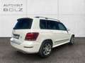 Mercedes-Benz GLK 200 CDI KLIMA SHZ PTS AHK PANO Sportpaket Weiß - thumbnail 18