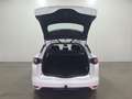 Renault Megane Estate 1.5 dCi Eco2 Zen NAVI/PDC/CRUISE/AIRCO/TRHA Blanc - thumbnail 27