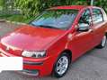 Fiat Punto Fiat Punto 1.2 Euro 3 Neopatentati Rosso - thumbnail 5