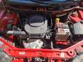 Fiat Punto Fiat Punto 1.2 Euro 3 Neopatentati Rosso - thumbnail 1