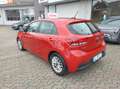 Kia Rio 1.2 mpi Evolution - GARANZIA 24 MESI Rosso - thumbnail 3