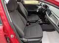 Kia Rio 1.2 mpi Evolution - GARANZIA 24 MESI Rosso - thumbnail 14