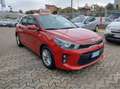 Kia Rio 1.2 mpi Evolution - GARANZIA 24 MESI Rosso - thumbnail 7