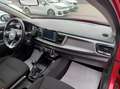 Kia Rio 1.2 mpi Evolution - GARANZIA 24 MESI Rosso - thumbnail 12