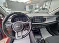 Kia Rio 1.2 mpi Evolution - GARANZIA 24 MESI Rosso - thumbnail 9