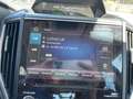 Subaru Forester 2.0i Hybrid Executive Plus CVT Weiß - thumbnail 18
