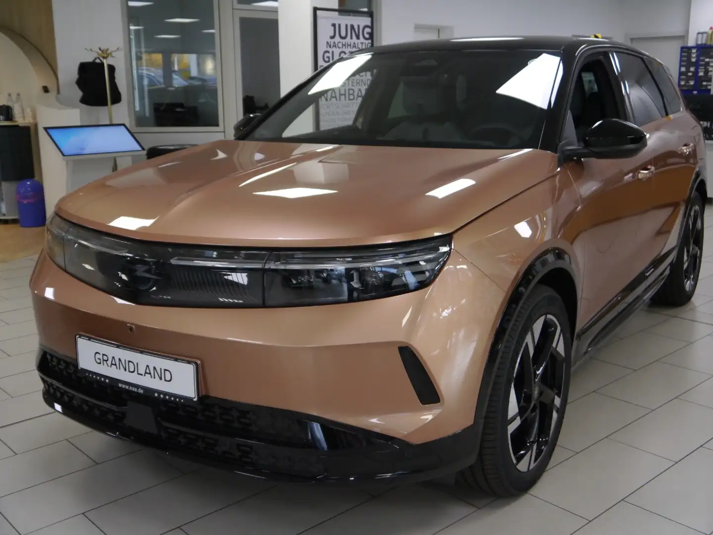 Opel Grandland Elektro 11 KW OnBoard Charger 521Km Goud - 2