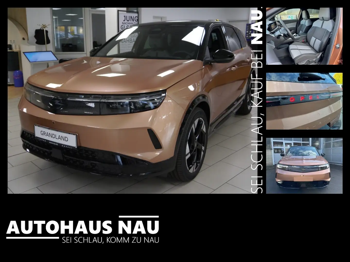 Opel Grandland Elektro 11 KW OnBoard Charger 521Km Goud - 1