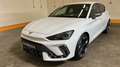 CUPRA Leon 2.0 TDI Aut. LED*LEDER*RADAR*LENKHZ*PDC*VIRTUAL C Weiß - thumbnail 2