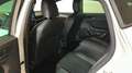 CUPRA Leon 2.0 TDI Aut. LED*LEDER*RADAR*LENKHZ*PDC*VIRTUAL C Weiß - thumbnail 18