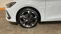 CUPRA Leon 2.0 TDI Aut. LED*LEDER*RADAR*LENKHZ*PDC*VIRTUAL C Weiß - thumbnail 23