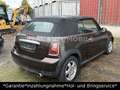 MINI Cooper Cabrio Cooper *1.HAND*TÜV 11-2026*SH* Braun - thumbnail 5