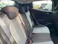 Renault Clio 1.0 ECO-G 100 CV EVOLUTION KM 0 *OK NEOPATENTATI* Bronze - thumbnail 15