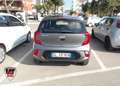 Kia Picanto Picanto 1.0 12V 5 porte X Line Grigio - thumbnail 5