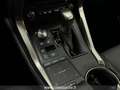 Lexus NX 300 300 Hybrid 4WD Luxury (TETTO PAN.) Grau - thumbnail 16