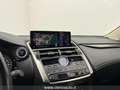 Lexus NX 300 300 Hybrid 4WD Luxury (TETTO PAN.) Grey - thumbnail 13