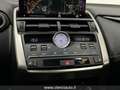 Lexus NX 300 300 Hybrid 4WD Luxury (TETTO PAN.) Gris - thumbnail 15