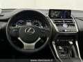 Lexus NX 300 300 Hybrid 4WD Luxury (TETTO PAN.) Gris - thumbnail 10