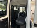 Iveco Daily 7 Posti Cassone Fisso Wit - thumbnail 10