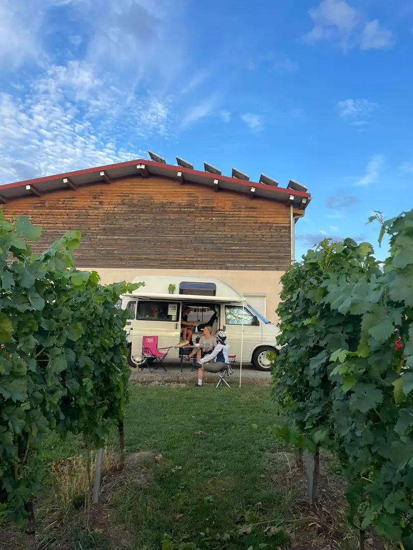 Volkswagen T4 Transporter T4 70J1D2/W24 bijela - 2