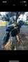 Ducati Multistrada 950 S Bianco - thumbnail 4