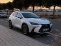 Lexus NX 450h+ NX 450h+ Premium+ 4WD Premium+ Blanco - thumbnail 1