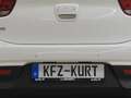 Kia Rio 1.2 DPI Edition 7! Emotion Paket! Weiß - thumbnail 42