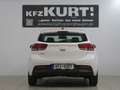 Kia Rio 1.2 DPI Edition 7! Emotion Paket! Weiß - thumbnail 4