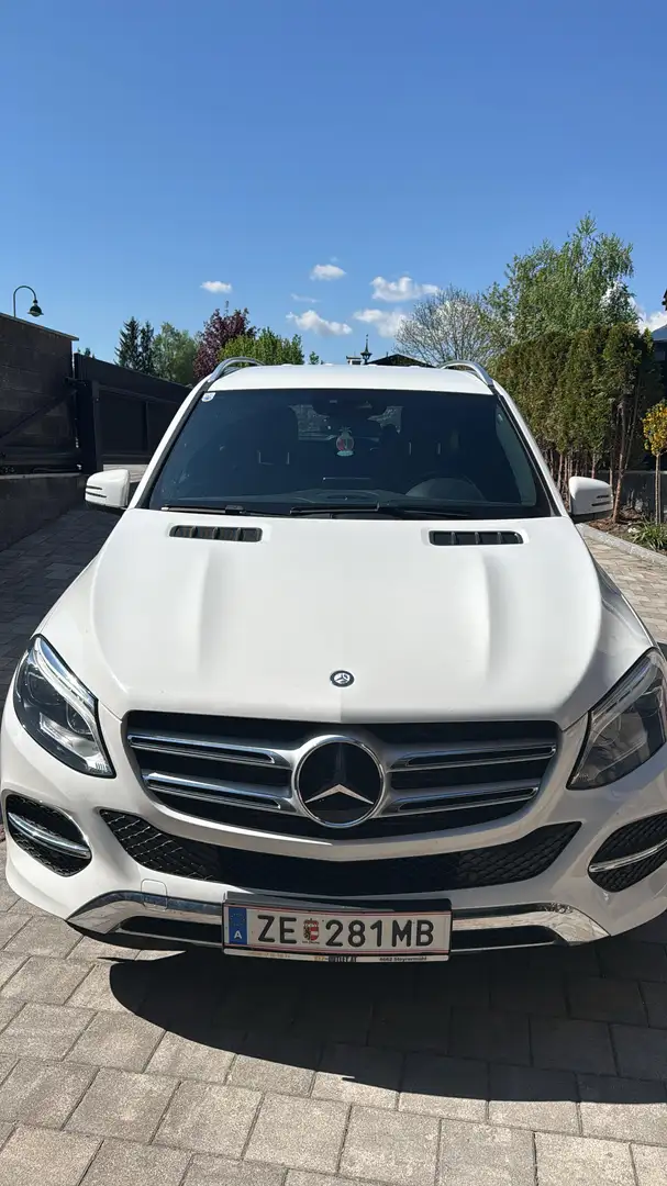 Mercedes-Benz GLE 250 d 4Matic Aut. - 1