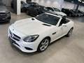 Mercedes-Benz SLC 180 - R172 180 Sport White - thumbnail 10