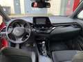 Toyota C-HR C-LUB Bi-Tone GPS CAMERA RECUL Rood - thumbnail 11