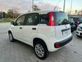 Fiat Panda Panda 0.9 t.air t. natural power Easy 70cv Bianco - thumbnail 4