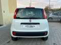 Fiat Panda Panda 0.9 t.air t. natural power Easy 70cv Bianco - thumbnail 6