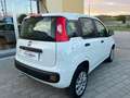 Fiat Panda Panda 0.9 t.air t. natural power Easy 70cv Bianco - thumbnail 3