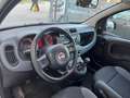 Fiat Panda Panda 0.9 t.air t. natural power Easy 70cv Bianco - thumbnail 10