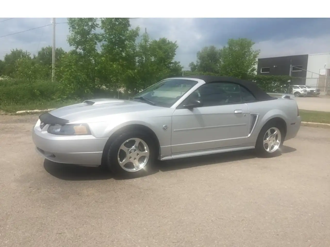 Ford Mustang fotografie Ford Mustang