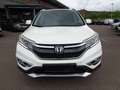 Honda CR-V Executive 4WD,Automatik,43Tkm Weiß - thumbnail 2
