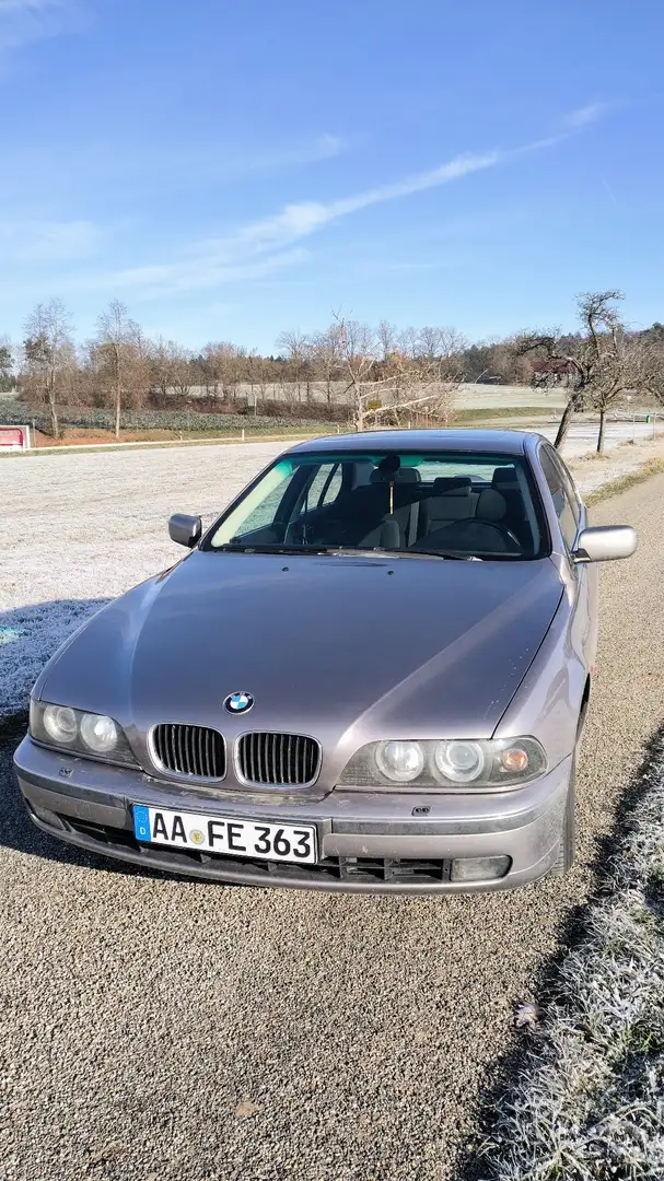 BMW 523 523i Bronze - 2