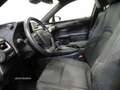 Lexus UX 250h Business 2WD Rouge - thumbnail 12