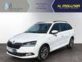 Skoda Fabia 1.0 TSI Ambition OPF (EURO 6d) Weiß - thumbnail 1