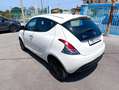 Lancia Ypsilon Ypsilon 1.0 FireFly 5 porte S&S Hybrid Ecochic Blanc - thumbnail 5