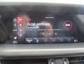 Alfa Romeo Stelvio Stelvio 2.2 t Veloce Q4 210cv auto Gris - thumbnail 11