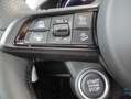 Alfa Romeo Stelvio Stelvio 2.2 t Veloce Q4 210cv auto Gris - thumbnail 12