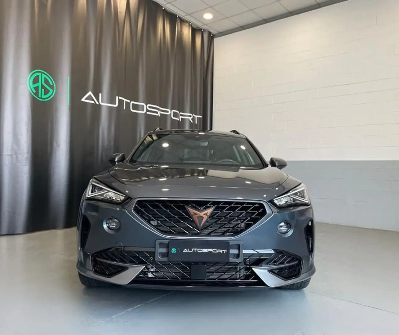 CUPRA Formentor 2.0 TDI Grigio - 2