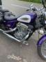Honda Shadow 600 PC 21 VT 600C    USA Mauve - thumbnail 3