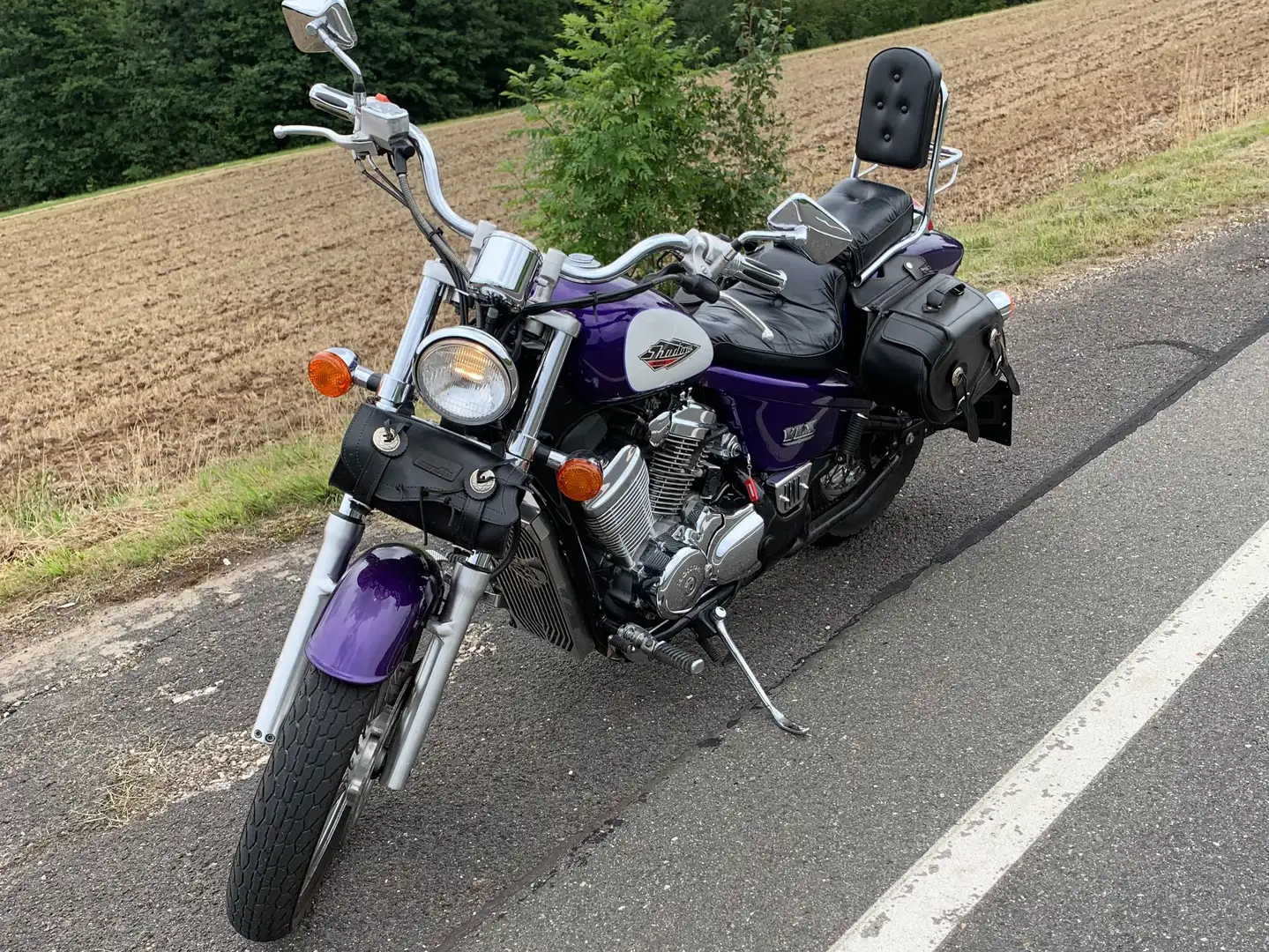 Honda Shadow 600 PC 21 VT 600C    USA Mauve - 1
